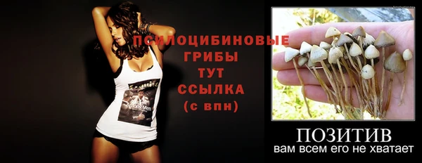 винт Осинники