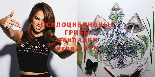 mdma Пересвет