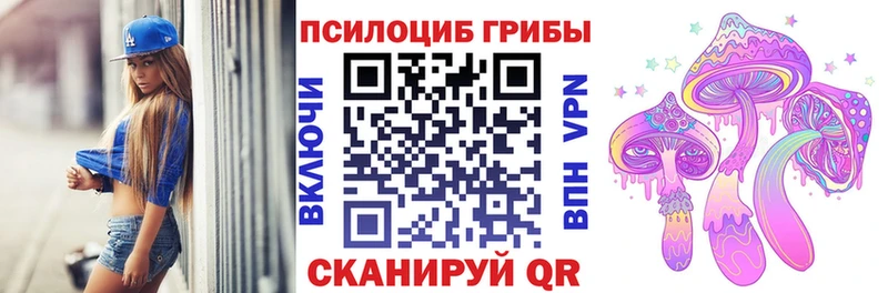 Купить закладки  Грозный  Галлюциногенные грибы Psilocybine cubensis 