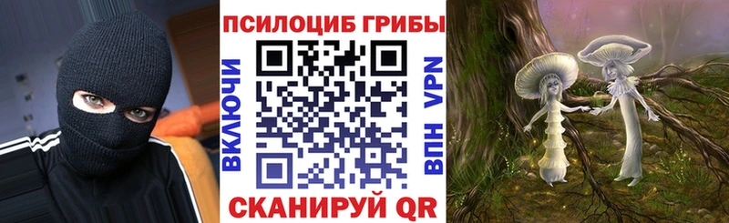 Псилоцибиновые грибы Cubensis Грозный
